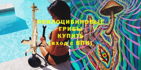 соль ск Кинешма