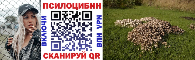 Купить закладки  Горбатов  Галлюциногенные грибы мухоморы 